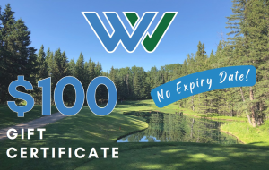 Gift Certificate - $100